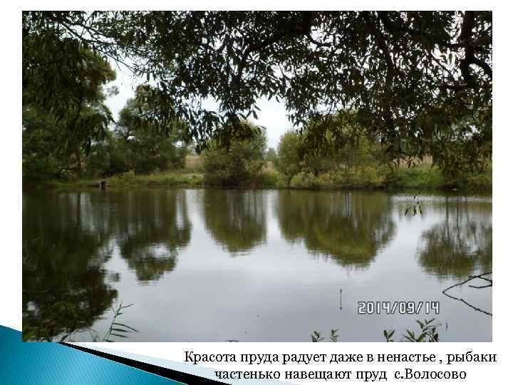 Красота пруда радует даже в ненастье , рыбаки частенько навещают пруд с. Волосово 