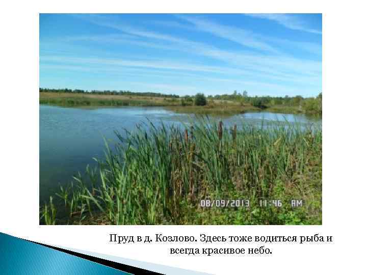 Пруд в д. Козлово. Здесь тоже водиться рыба и всегда красивое небо. 