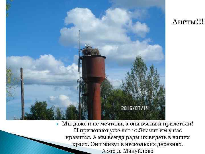 Аисты!!! Мы даже и не мечтали, а они взяли и прилетели! И прилетают уже
