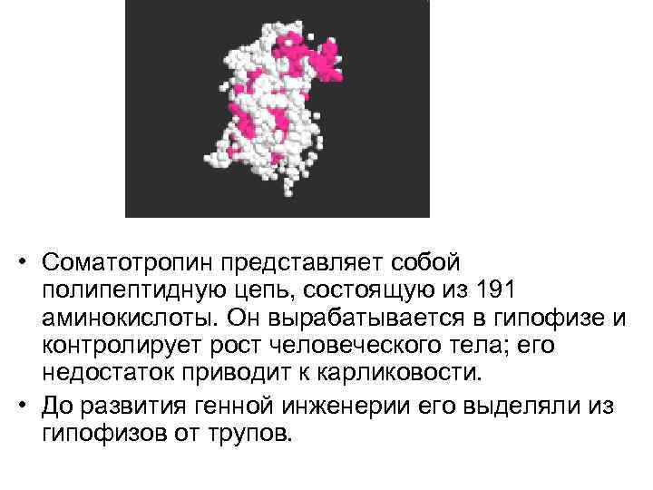  • Соматотропин представляет собой полипептидную цепь, состоящую из 191 аминокислоты. Он вырабатывается в