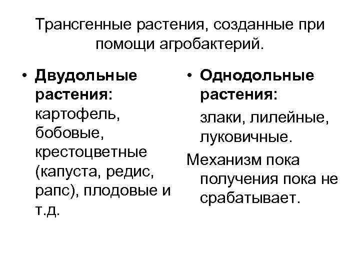 Трансгенные растения, созданные при помощи агробактерий. • Двудольные • Однодольные растения: картофель, злаки, лилейные,