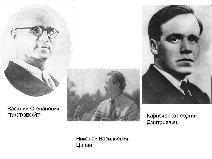 Василий Степанович ПУСТОВОЙТ Карпеченко Георгий Дмитриевич. Николай Васильевич Цицин 