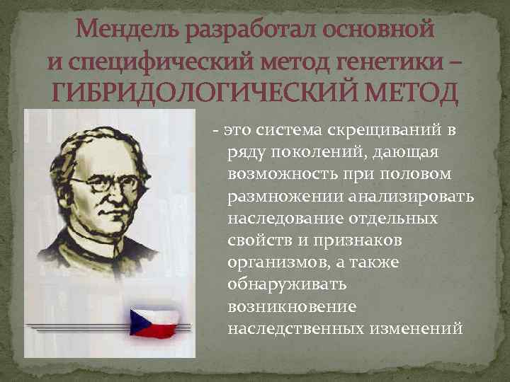 Мендель разработал основной и специфический метод генетики – ГИБРИДОЛОГИЧЕСКИЙ МЕТОД - это система скрещиваний