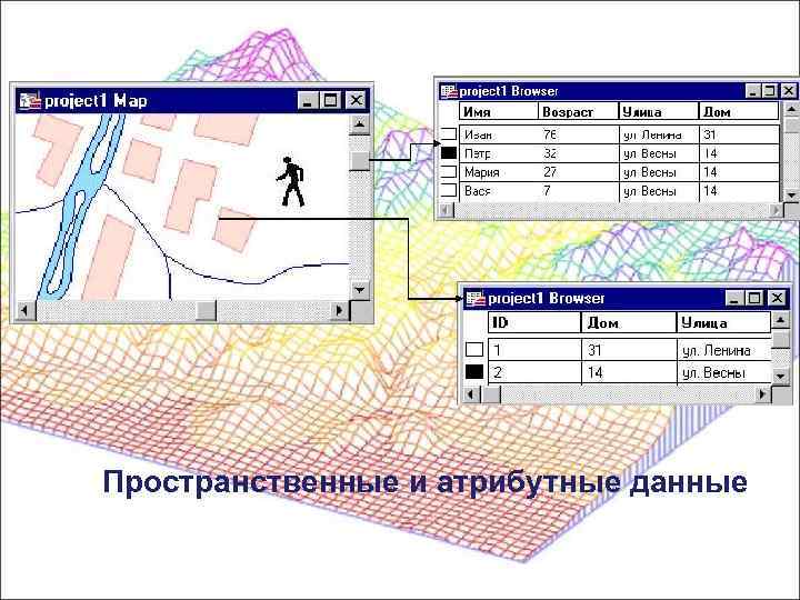 Пространственные и атрибутные данные 