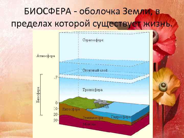 БИОСФЕРА - оболочка Земли, в пределах которой существует жизнь. 