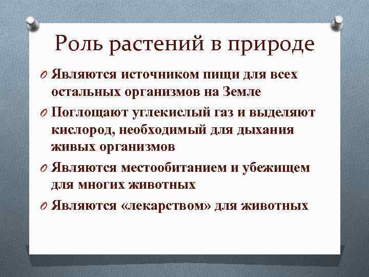 Роль растений в природе O Являются источником пищи для всех остальных организмов на Земле