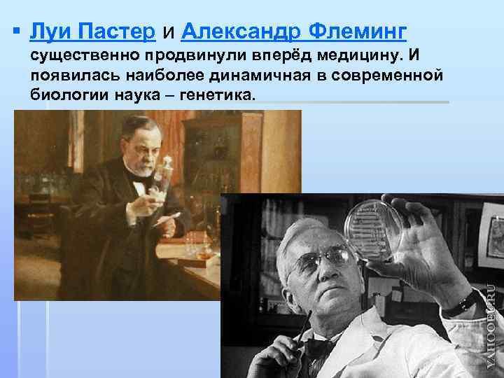 § Луи Пастер и Александр Флеминг существенно продвинули вперёд медицину. И появилась наиболее динамичная