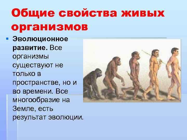 Общие свойства живых организмов § Эволюционное развитие. Все организмы существуют не только в пространстве,