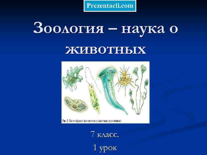 Prezentacii. com Зоология – наука о животных 7 класс. 1 урок 