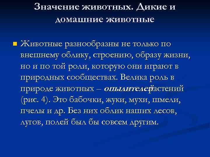 Значение животных. Дикие и домашние животные n Животные разнообразны не только по внешнему облику,