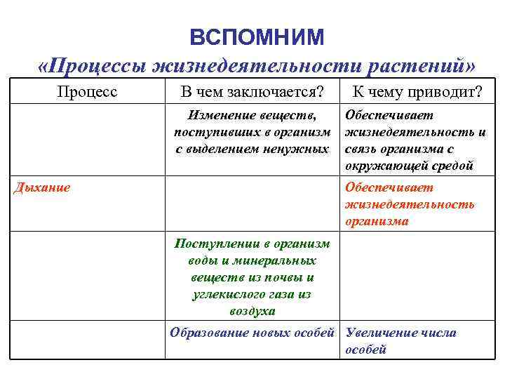 ВСПОМНИМ «Процессы жизнедеятельности растений» Процесс В чем заключается? К чему приводит? Изменение веществ, поступивших