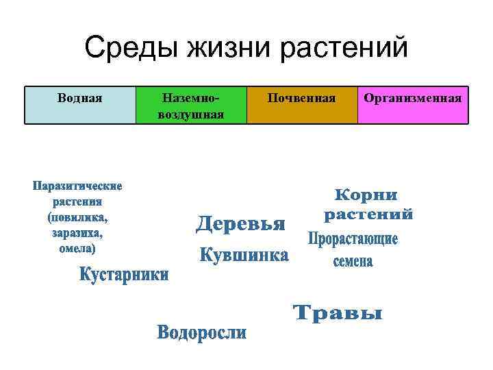 Виды процессов жизнедеятельности растений