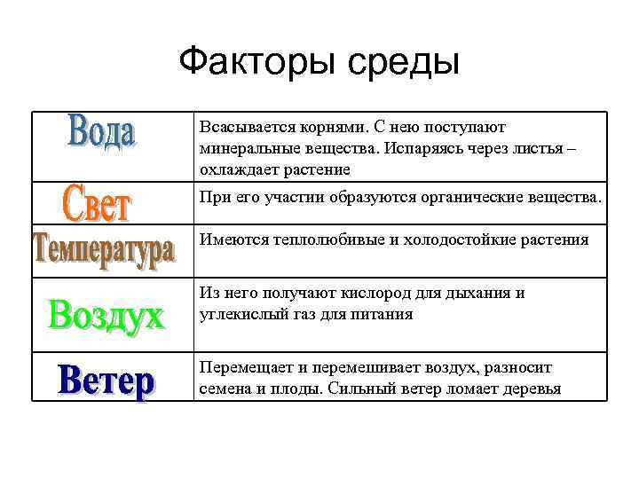 Факторы среды Всасывается корнями. С нею поступают минеральные вещества. Испаряясь через листья – охлаждает