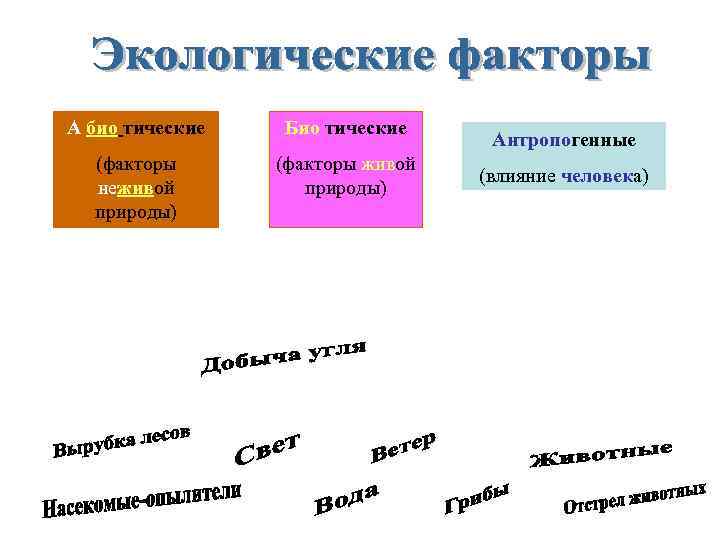 А био тические Био тические (факторы неживой природы) (факторы живой природы) Антропогенные (влияние человека)