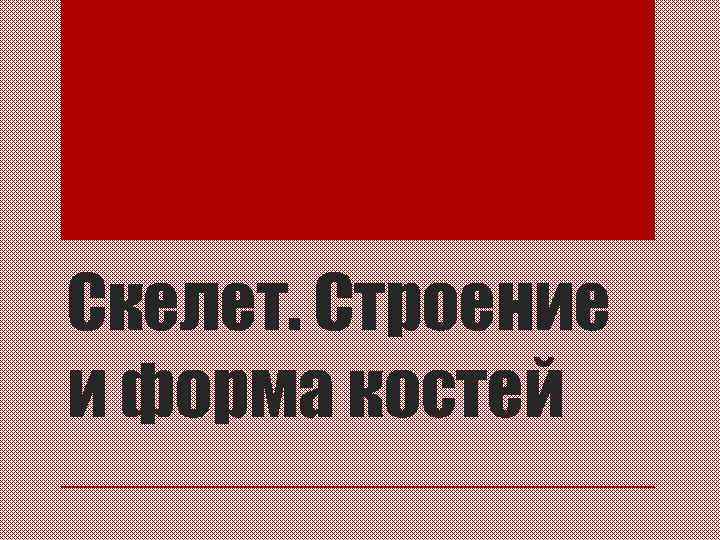 Скелет. Строение и форма костей 