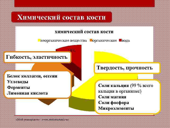 Химический состав кости химический состав кости неорганические вещества органические вода 10% Гибкость, эластичность Твердость,