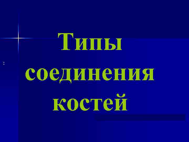 : Типы соединения костей 