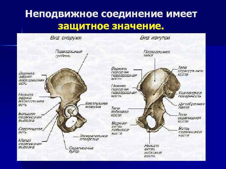 Неподвижное соединение имеет защитное значение. 