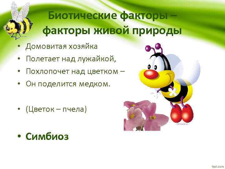 Биотические факторы – факторы живой природы • • Домовитая хозяйка Полетает над лужайкой, Похлопочет