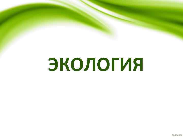 ЭКОЛОГИЯ 