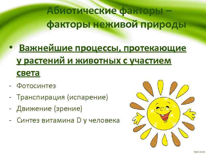 Абиотические факторы – факторы неживой природы • Важнейшие процессы, протекающие у растений и животных