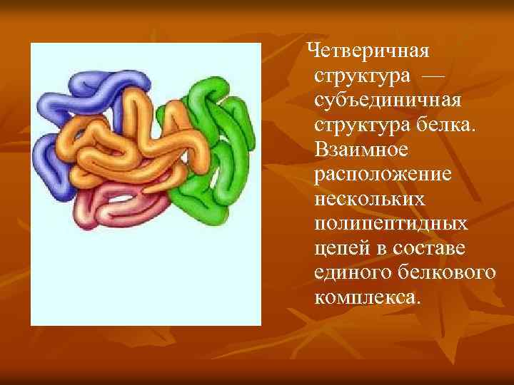 Четверичная структура — субъединичная структура белка. Взаимное расположение нескольких полипептидных цепей в составе единого