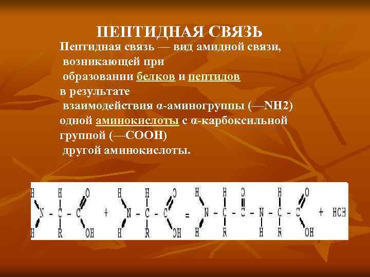 ПЕПТИДНАЯ СВЯЗЬ Пептидная связь — вид амидной связи, возникающей при образовании белков и пептидов