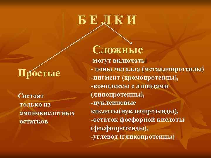 Б Е Л К И Сложные Простые Состоят только из аминокислотных остатков могут включать: