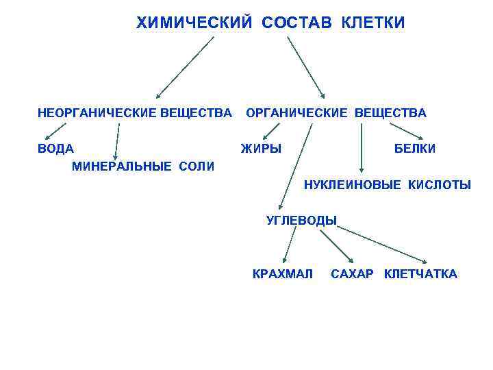 Презентация химический состав клетки 10 класс биология