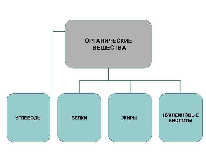 Органические вещества углеводы белки