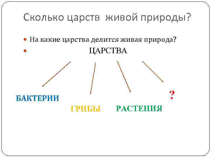 Сколько царств живой природы? На какие царства делится живая природа? ЦАРСТВА ? БАКТЕРИИ ГРИБЫ