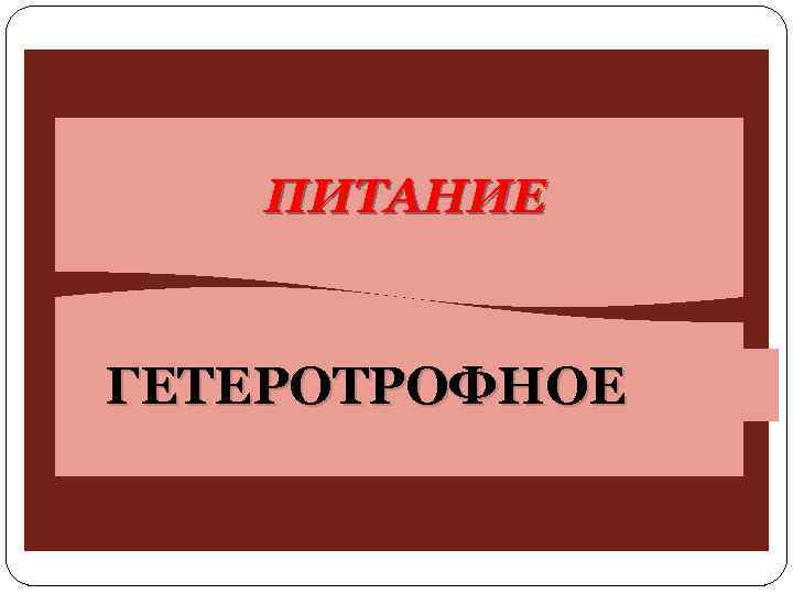 ПИТАНИЕ ГЕТЕРОТРОФНОЕ 