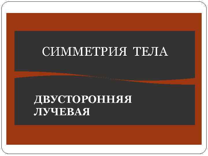 СИММЕТРИЯ ТЕЛА ДВУСТОРОННЯЯ ЛУЧЕВАЯ 