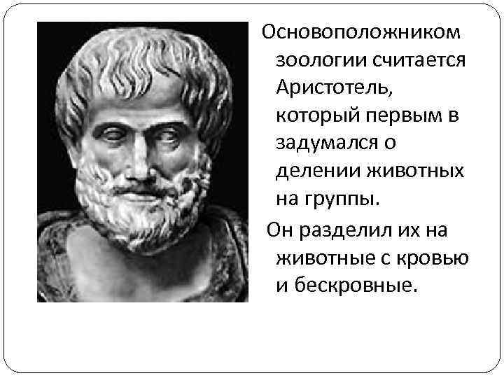 Основоположником зоологии считается Аристотель, который первым в задумался о делении животных на группы. Он