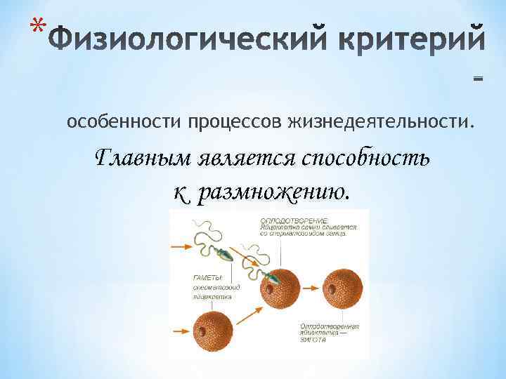 * особенности процессов жизнедеятельности. Главным является способность к размножению. 
