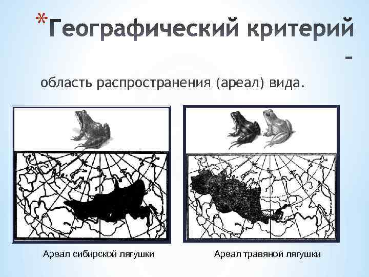 * область распространения (ареал) вида. Ареал сибирской лягушки Ареал травяной лягушки 