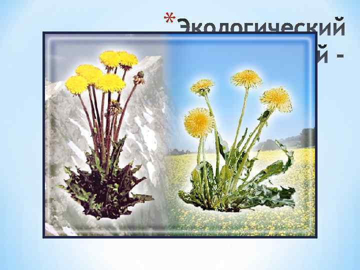 * приспособленность особей вида к определенным условиям существования. 