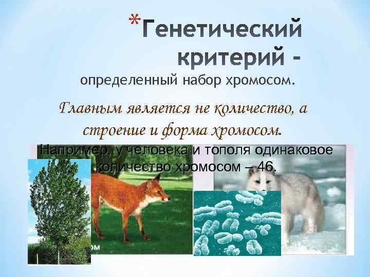 * определенный набор хромосом. Главным является не количество, а строение и форма хромосом. Например,