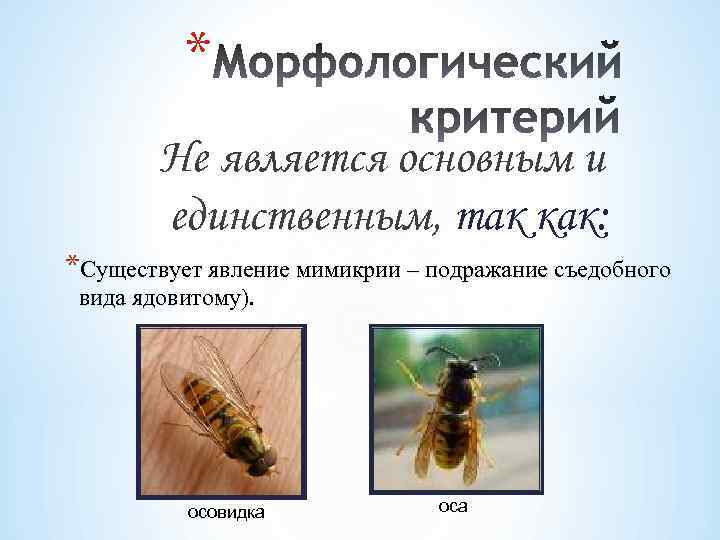 * Не является основным и единственным, так как: *Существует явление мимикрии – подражание съедобного