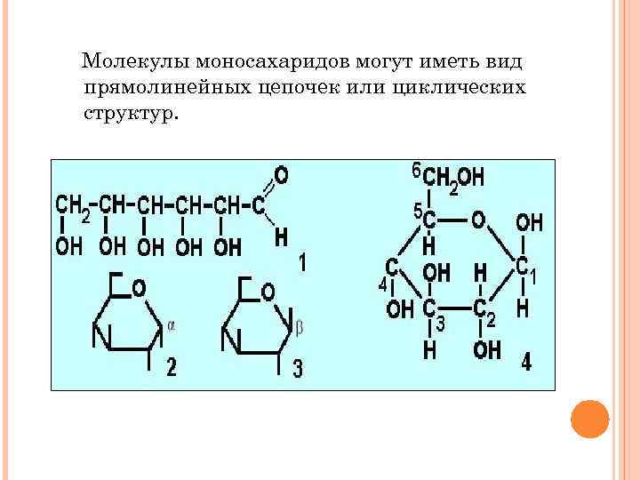 Молекулы моносахаридов могут иметь вид прямолинейных цепочек или циклических структур. 