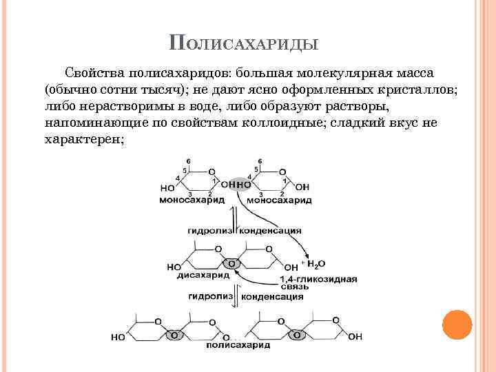 ПОЛИСАХАРИДЫ Свойства полисахаридов: большая молекулярная масса (обычно сотни тысяч); не дают ясно оформленных кристаллов;