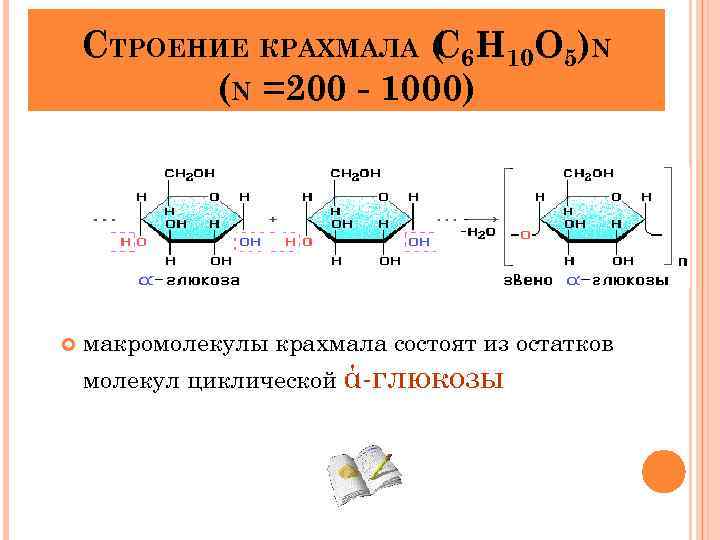 СТРОЕНИЕ КРАХМАЛА ( 6 Н 10 О 5)N С (N =200 - 1000) макромолекулы