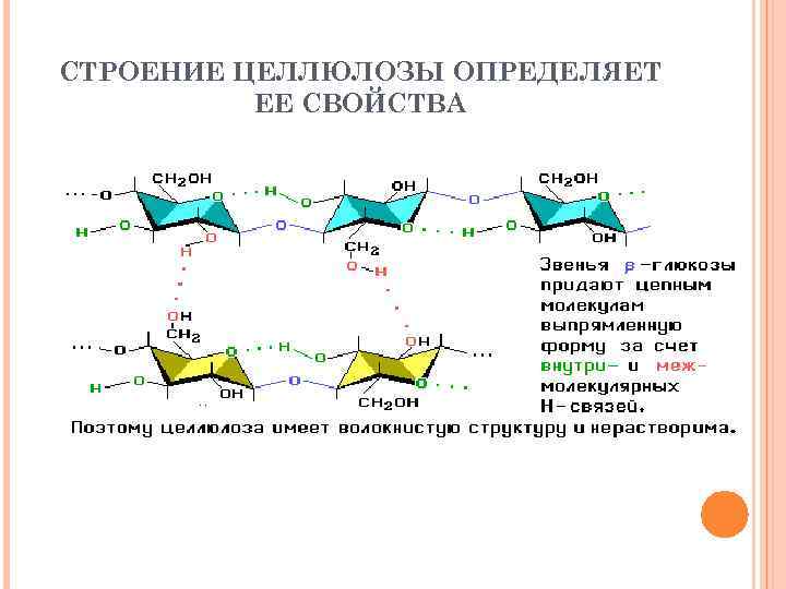 СТРОЕНИЕ ЦЕЛЛЮЛОЗЫ ОПРЕДЕЛЯЕТ ЕЕ СВОЙСТВА 