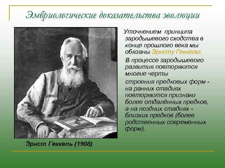 Эмбриологические доказательства эволюции Уточнением принципа зародышевого сходства в конце прошлого века мы обязаны Эрнсту