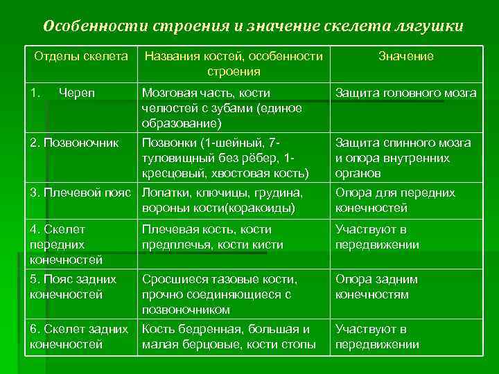 Особенности строения земноводных таблица 8 класс