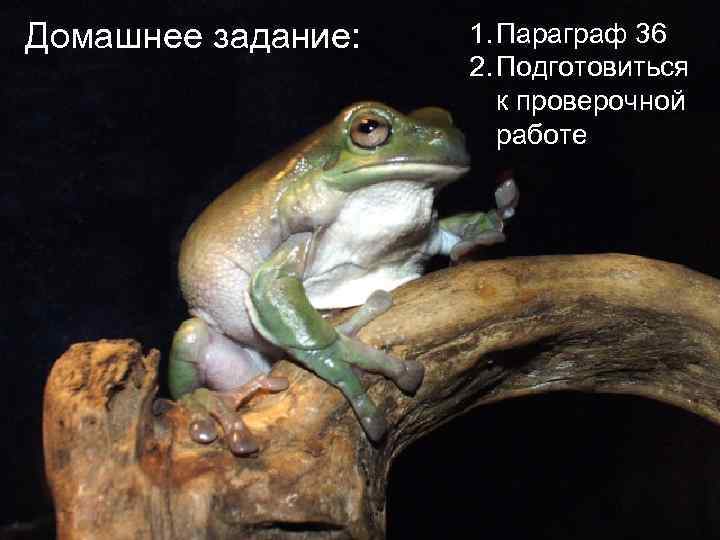 Домашнее задание: 1. Параграф 36 2. Подготовиться к проверочной работе 