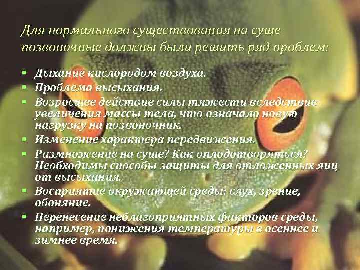Для нормального существования на суше позвоночные должны были решить ряд проблем: § § §