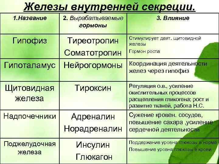 Железы внутренней секреции. 1. Название 2. Вырабатываемые гормоны 3. Влияние Тиреотропин Соматотропин Гипоталамус Нейрогормоны