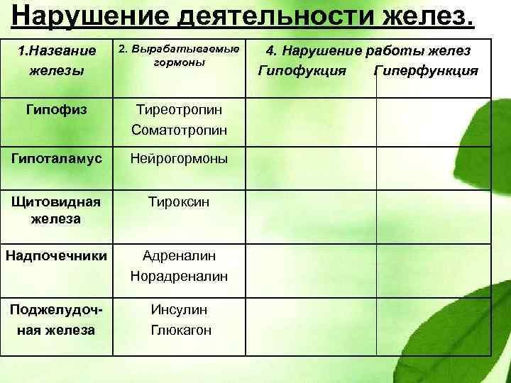 Нарушение деятельности желез. 1. Название железы 2. Вырабатываемые гормоны Гипофиз Тиреотропин Соматотропин Гипоталамус Нейрогормоны