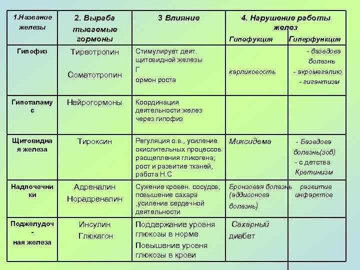 1. Название железы 2. Выраба тываемые гормоны Гипофиз Тиреотропин Соматотропин Гипоталаму с Нейрогормоны Щитовидна